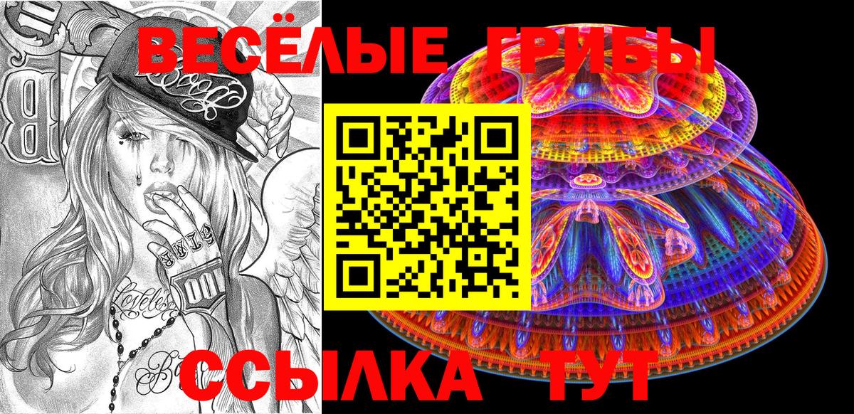 Псилоцибиновые грибы мицелий Октябрьский